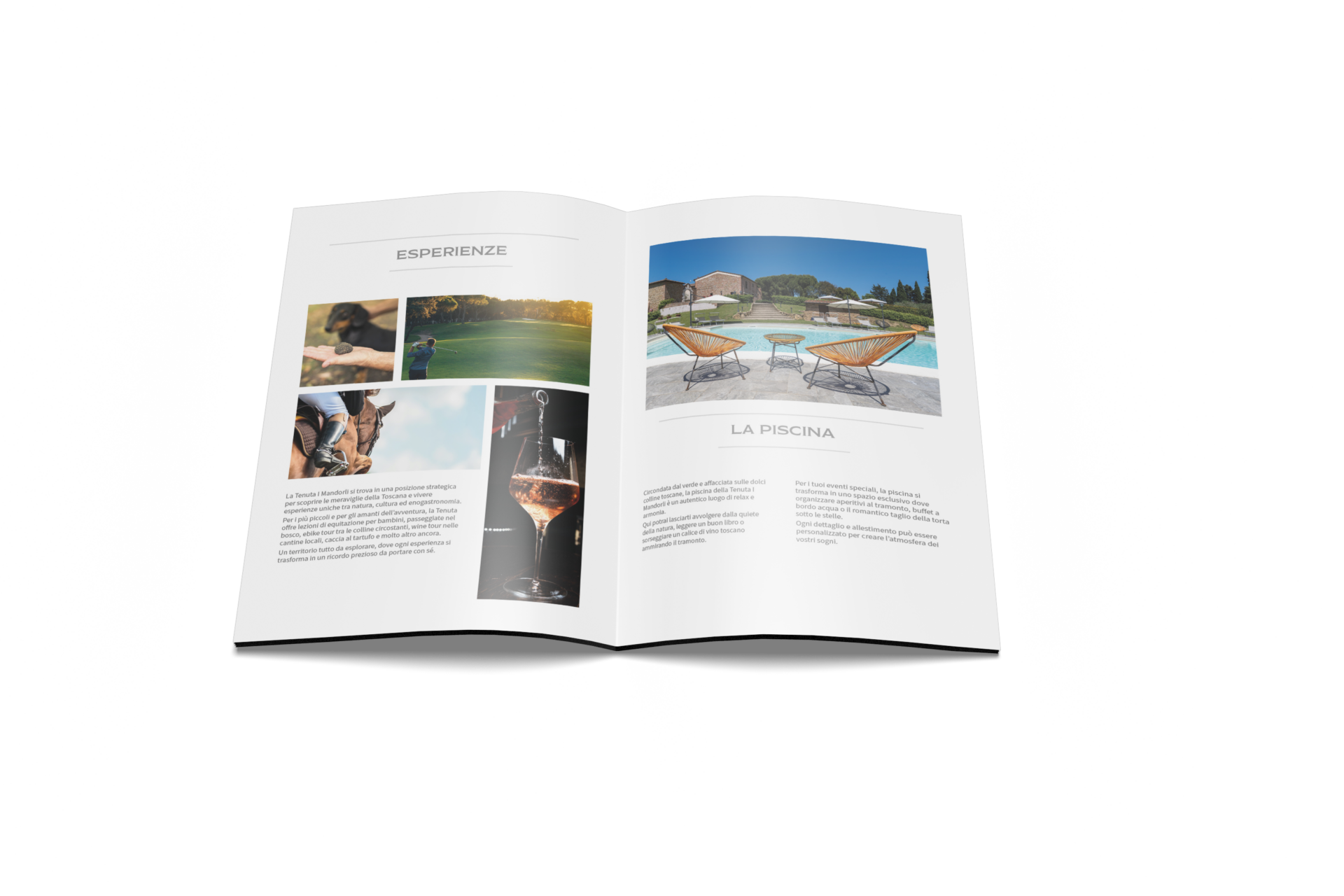 Mockup della brochure di Tenuta I Mandorli dedicata alle esperienze