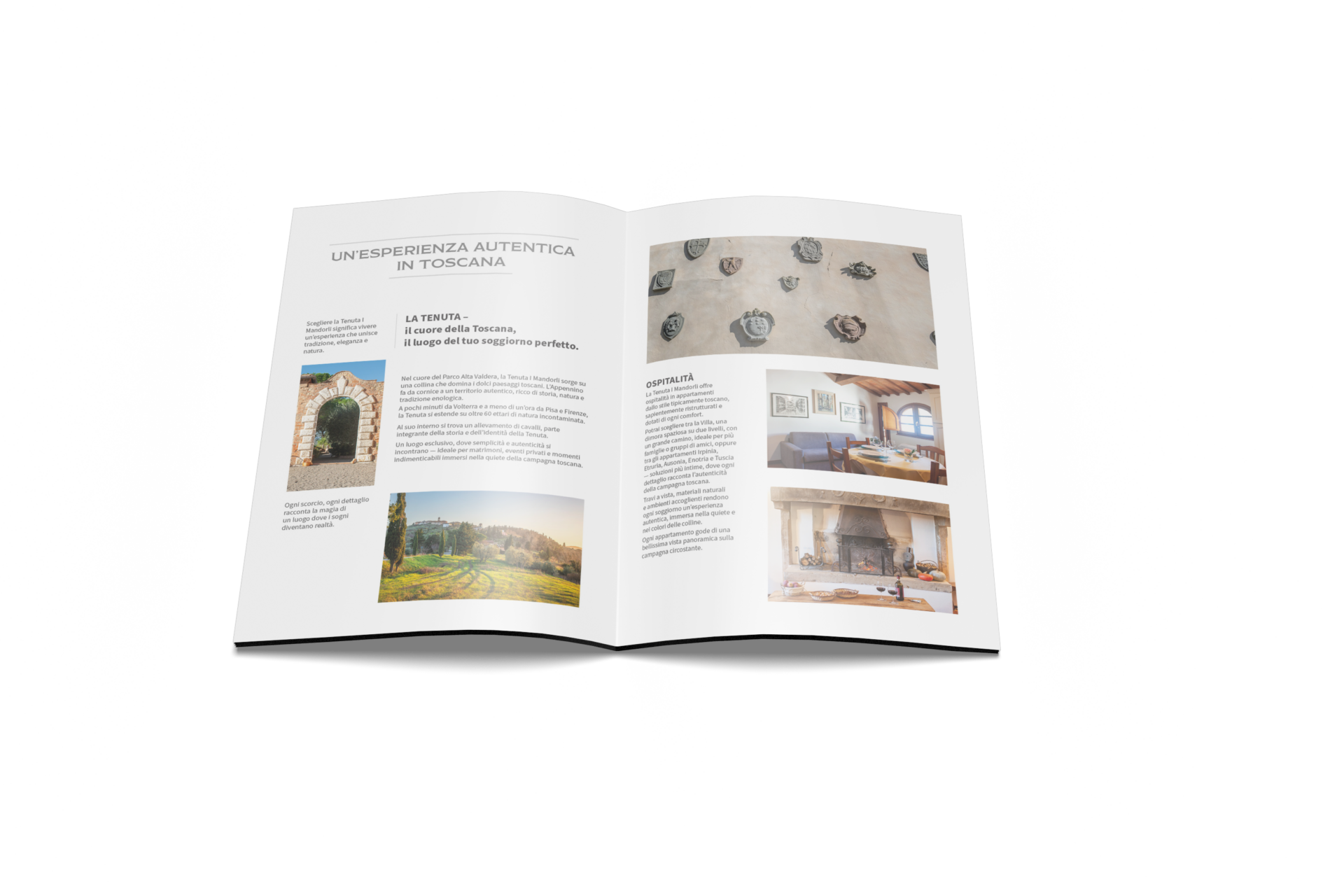 Mockup della brochure di Tenuta I Mandorli dedicata all’ospitalità