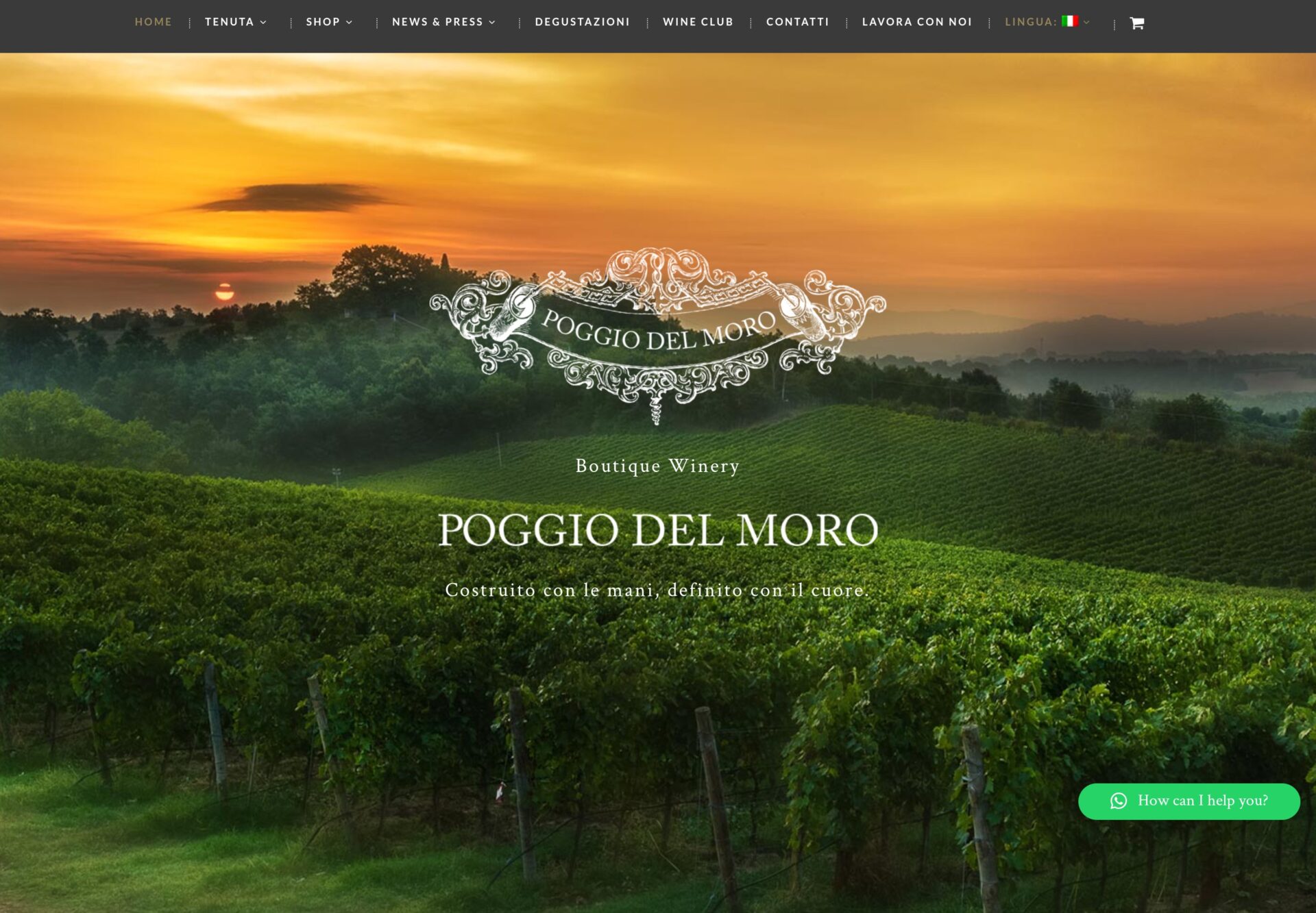 E Sicché per Poggio del Moro: dare voce a un vino fuori dagli schemi — vista desktop