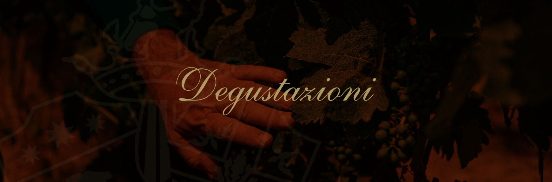 Usiglian del Vescovo Wine experience